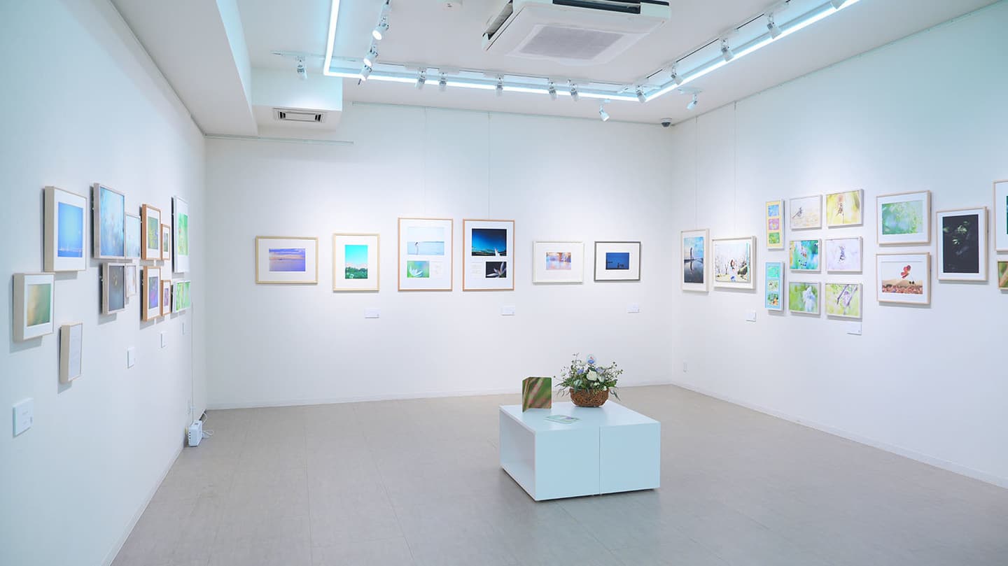 Room5656の写真展の様子。恵比寿の弘重ギャラリーにて開催したときの様子です。