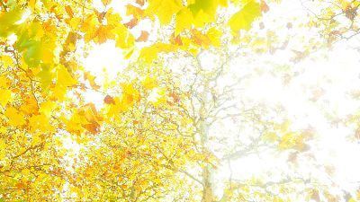 代表山本まりこが東京で撮影した作品です。