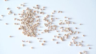 Room5656のPSCコースでは、スパイスについて効能や歴史などを学びます。